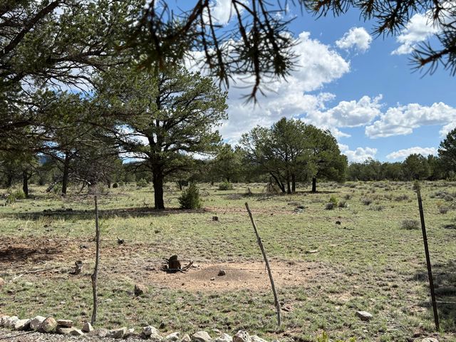 88 EL CASO Road, Quemado, NM 87829