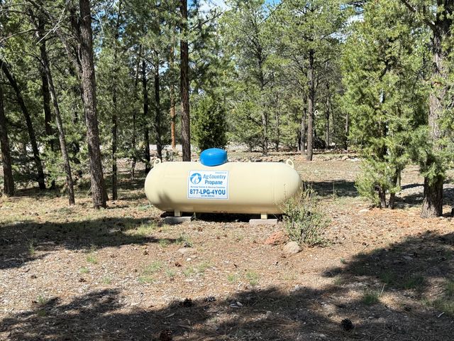 88 EL CASO Road, Quemado, NM 87829