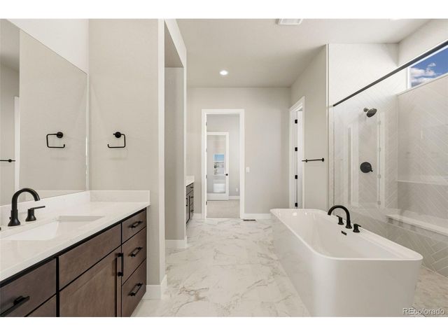 1641 Flourish Ct, Windsor, CO 80550