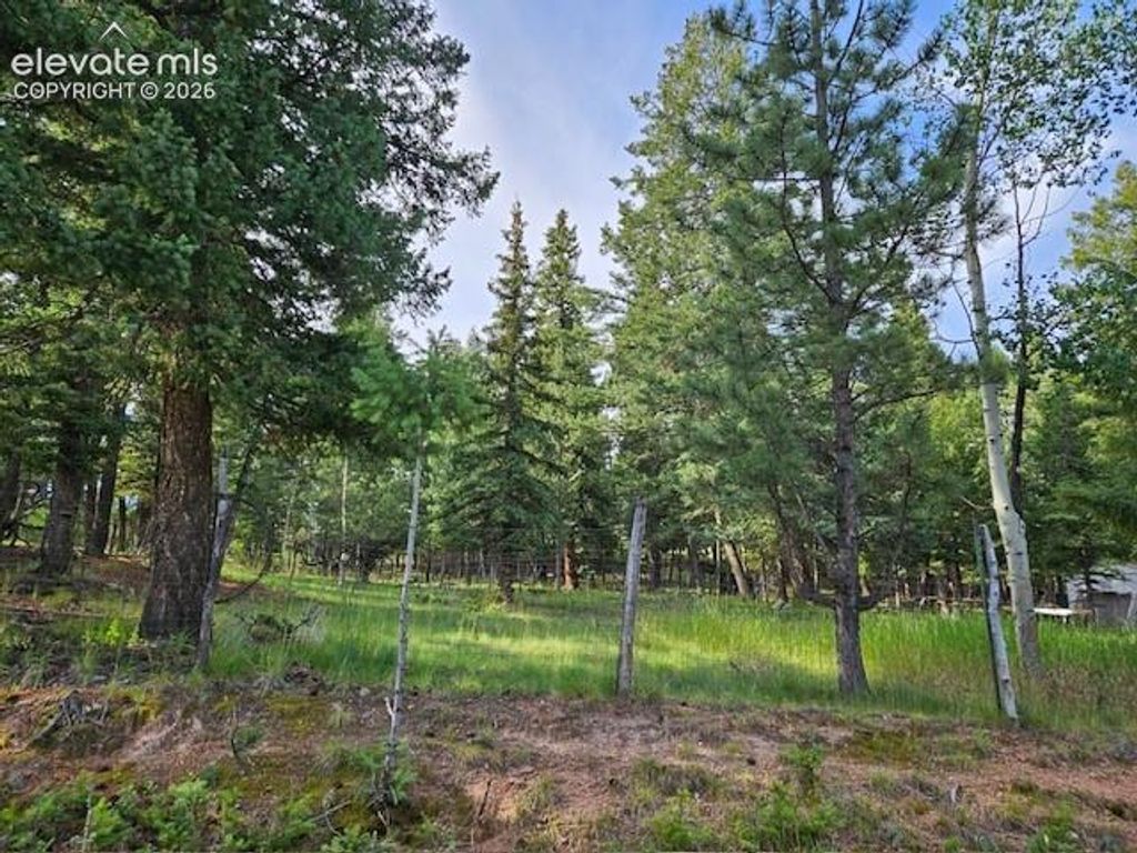 Rolling Park Drive, Woodland Park, CO 80863 — exterior
