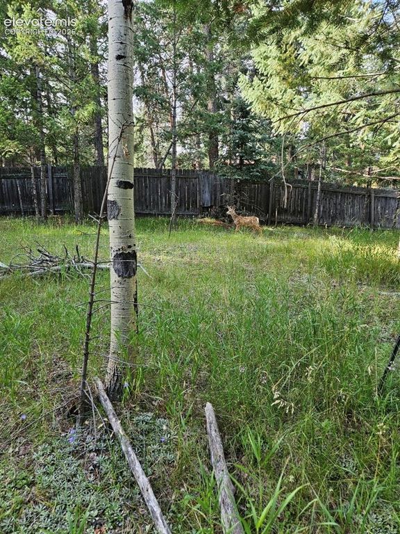 Rolling Park Drive, Woodland Park, CO 80863 — photo 3