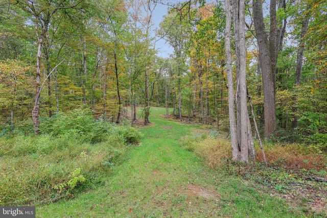 10643 SETTLE SCHOOL RD, Rixeyville, VA 22737