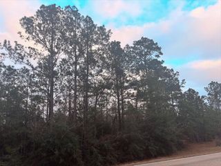 TBD Chaffee Road, Leesville, LA 71446