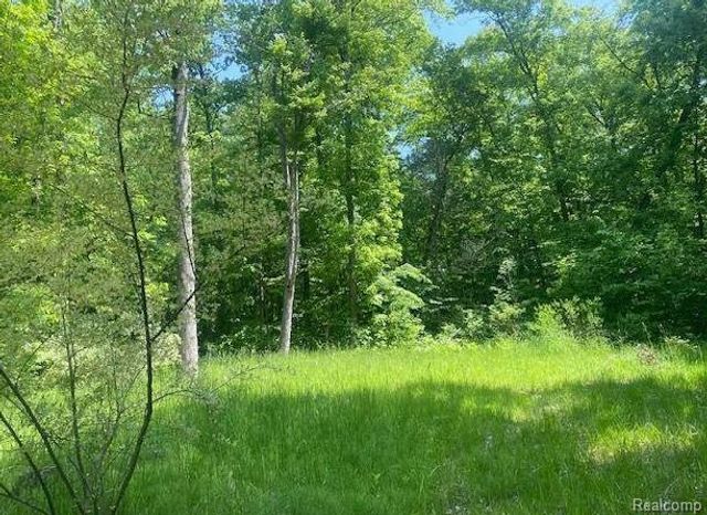 Parcel 2 & 4 Deadwood Lane, Genoa Township, MI 48114
