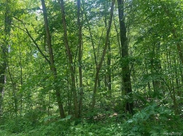 Parcel 2 & 4 Deadwood Lane, Genoa Township, MI 48114