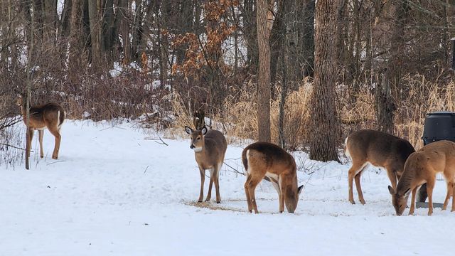 6205 W 177th Avenue, Lowell, IN 46356