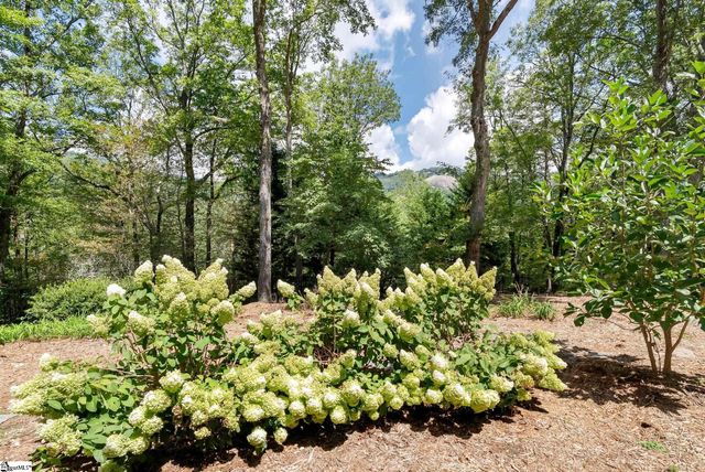 610 Plumley Summit Road, Landrum, SC 29356