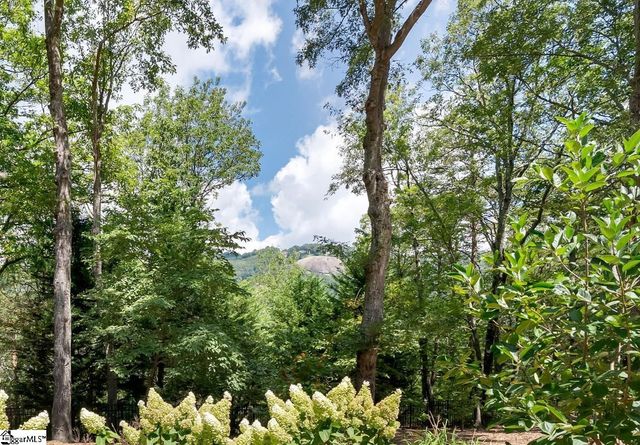 610 Plumley Summit Road, Landrum, SC 29356