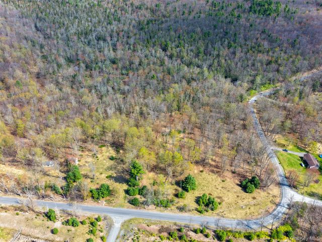 Taylor Road, Fallsburg, NY 12733