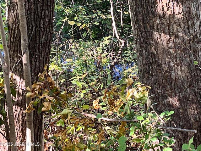 2628 LOLA DRIVE, Jefferson City, MO 65109