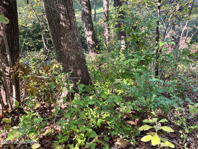 2628 LOLA DRIVE, Jefferson City, MO 65109