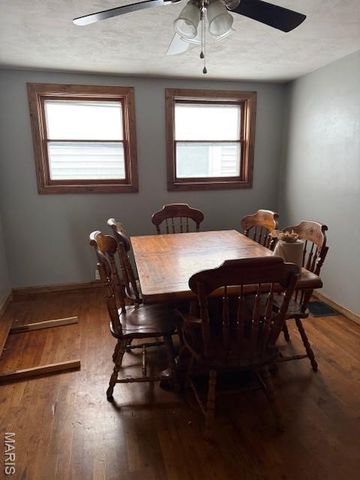 1810 Chestnut Street, Hannibal, MO 63401