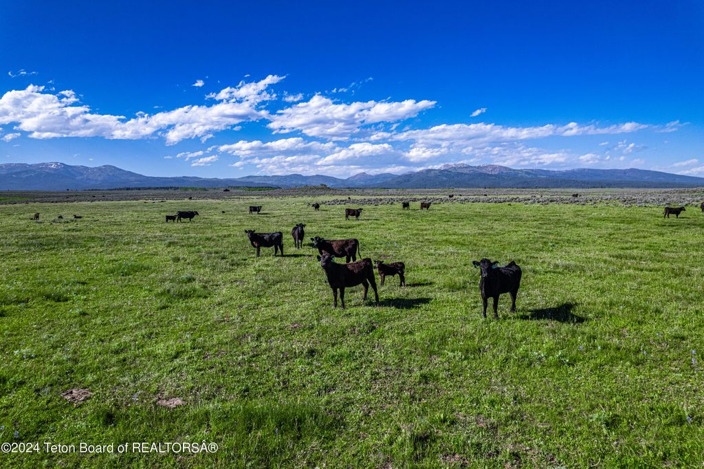 TBD OLD SHOTGUN ROAD, Island Park, ID 83429 photo 11