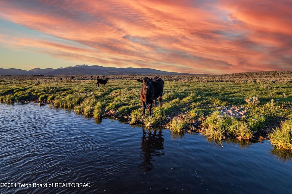 TBD OLD SHOTGUN ROAD, Island Park, ID 83429 photo 3