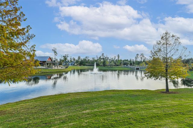 8132 Tyrell Heights Drive, Magnolia, TX 77354