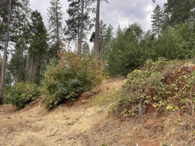 5930 Fickett Ln 1, Paradise, CA 95969