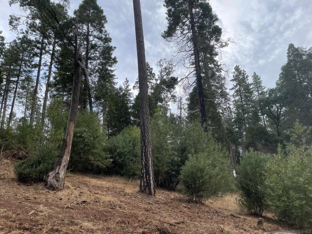 5930 Fickett Ln 1, Paradise, CA 95969