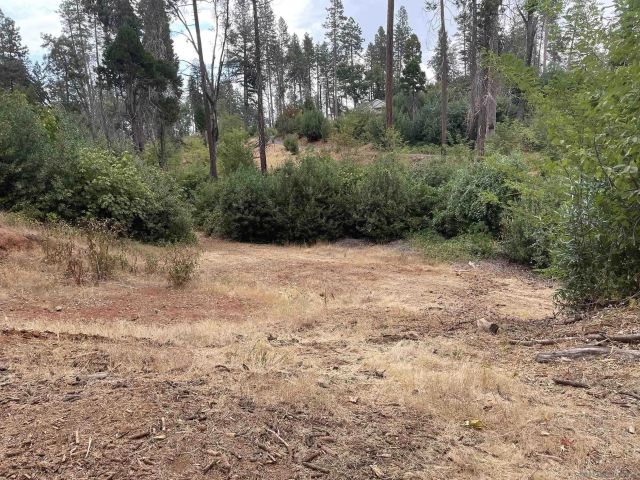 5930 Fickett Ln 1, Paradise, CA 95969