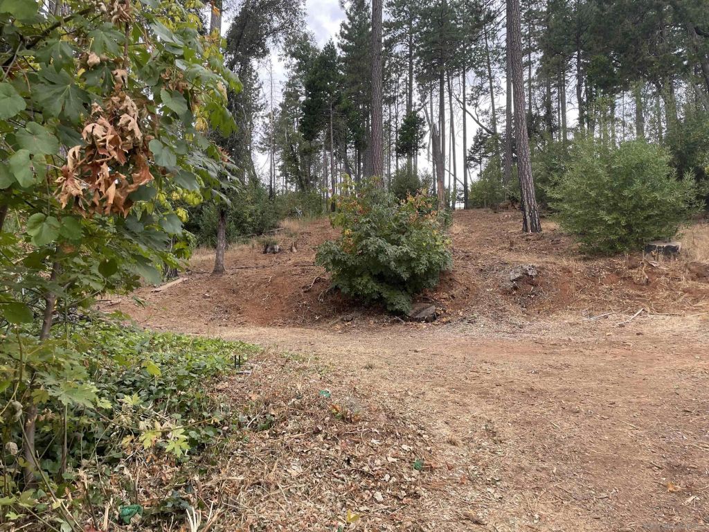 5930 Fickett Ln 1, Paradise, CA 95969