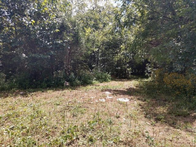 2366 Tracy Rd, Watertown, TN 37184