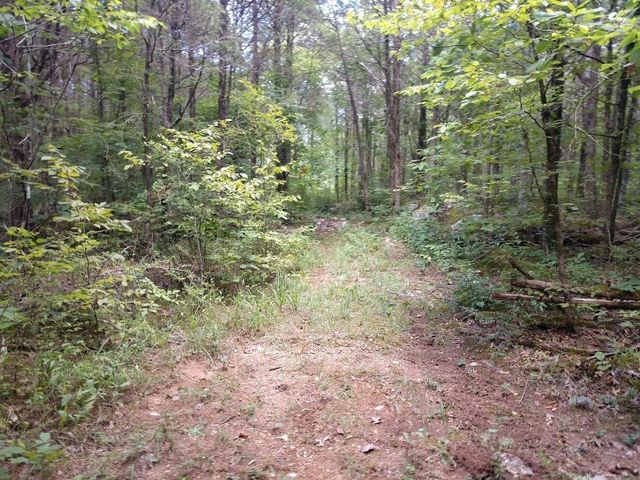 2366 Tracy Rd, Watertown, TN 37184