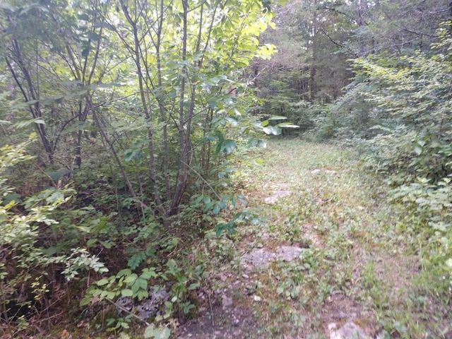 2366 Tracy Rd, Watertown, TN 37184
