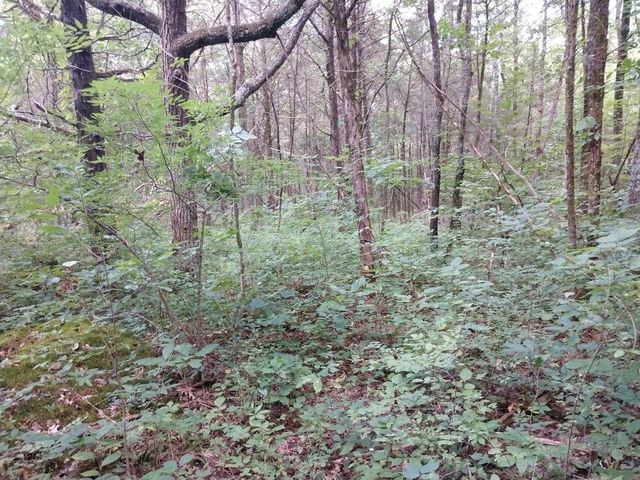 2366 Tracy Rd, Watertown, TN 37184