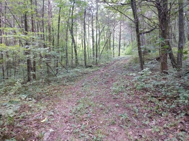 2366 Tracy Rd, Watertown, TN 37184