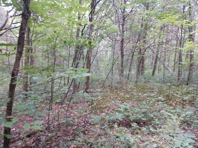 2366 Tracy Rd, Watertown, TN 37184