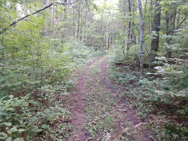 2366 Tracy Rd, Watertown, TN 37184