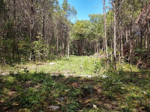 2366 Tracy Rd, Watertown, TN 37184