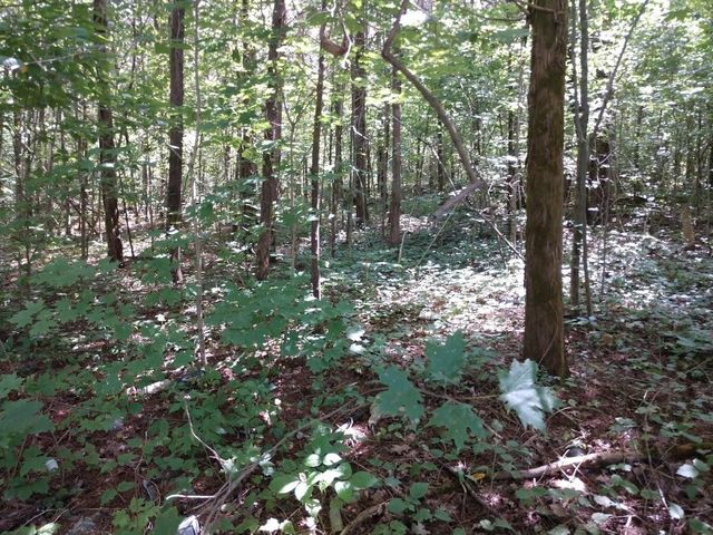 2366 Tracy Rd, Watertown, TN 37184