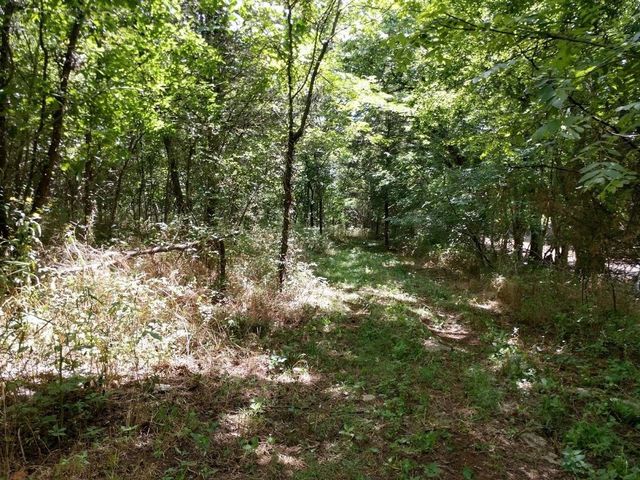 2366 Tracy Rd, Watertown, TN 37184