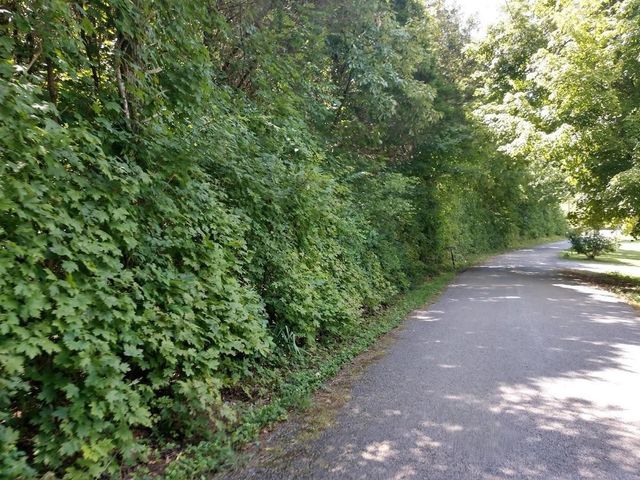 2366 Tracy Rd, Watertown, TN 37184
