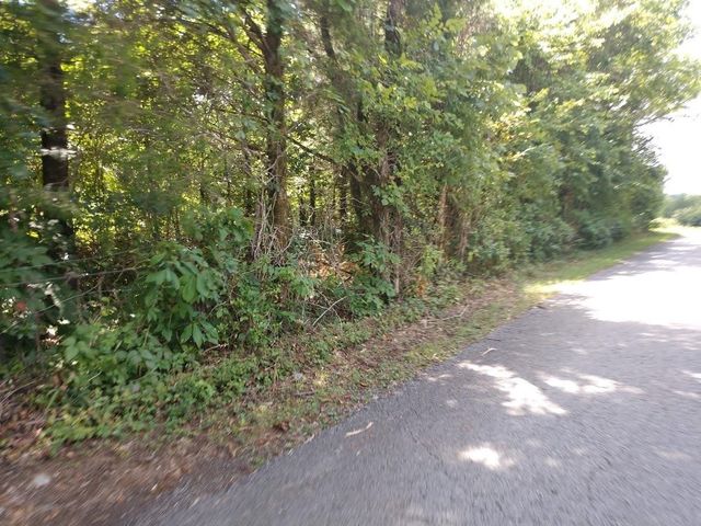 2366 Tracy Rd, Watertown, TN 37184