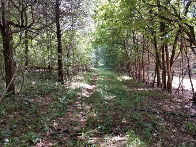 2366 Tracy Rd, Watertown, TN 37184