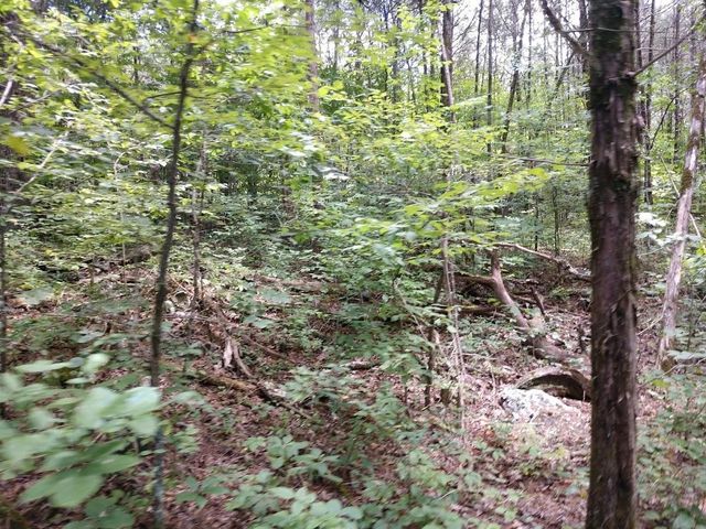2366 Tracy Rd, Watertown, TN 37184