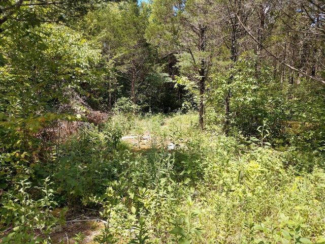 2366 Tracy Rd, Watertown, TN 37184