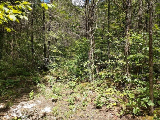 2366 Tracy Rd, Watertown, TN 37184
