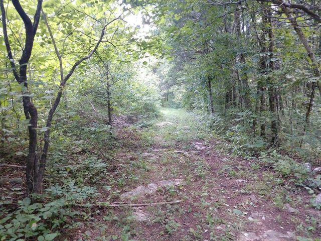 2366 Tracy Rd, Watertown, TN 37184