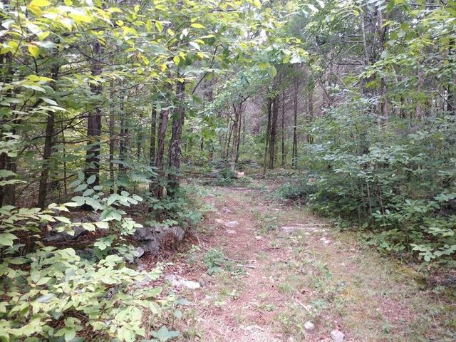 2366 Tracy Rd, Watertown, TN 37184