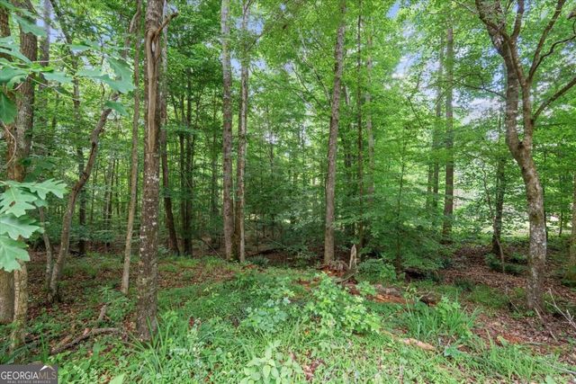 620 Old Four Notch Road, Whitesburg, GA 30185