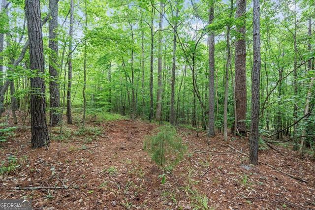 620 Old Four Notch Road, Whitesburg, GA 30185