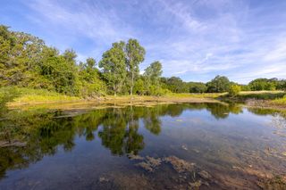 TBD County Road 239, Hico, TX 76457