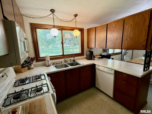 17122 RIVER VIEW Road, Petersburg, IL 62675