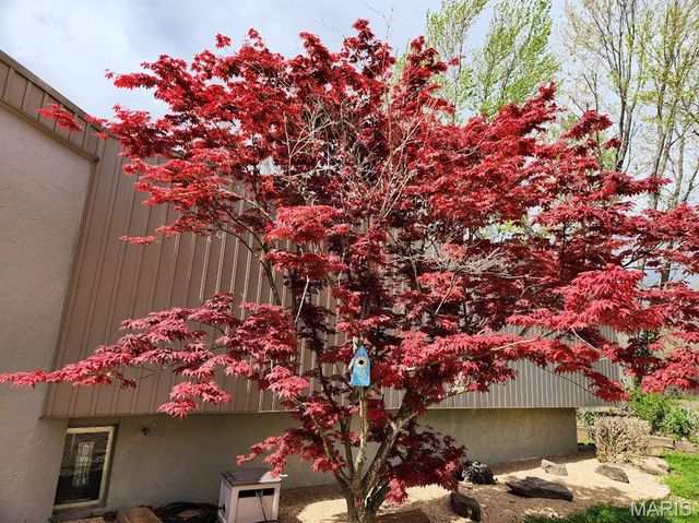 13365 County Road 5110, Rolla, MO 65401