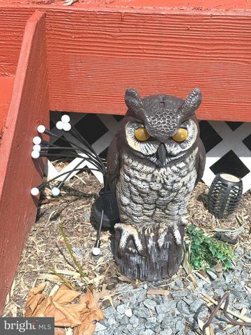 11321 COLLEGE VIEW DR, Silver Spring, MD 20902