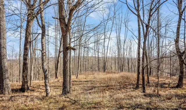 0 Forest Circle, Sparta, TN 38583