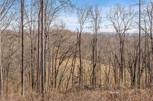 0 Forest Circle, Sparta, TN 38583