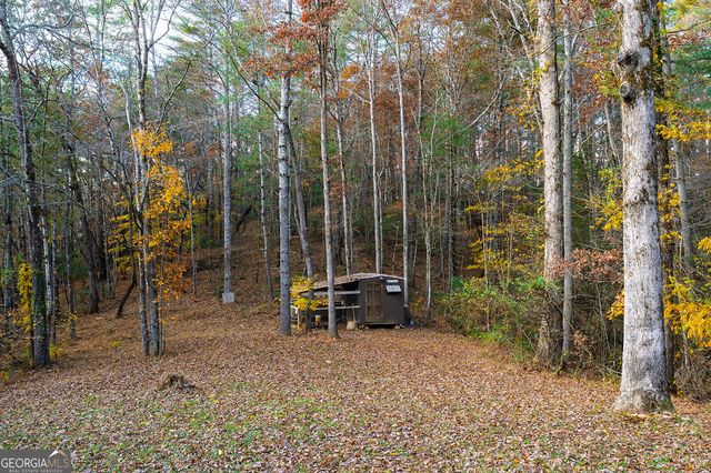 334 Ponderosa Road, Ellijay, GA 30540